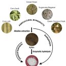 라온365온누리약국 이미지