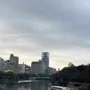 2020-739 | |일본| 2박3일 히로시마 여행일정 셋째 날[미야지마/이치란 라멘/히로시마 시내에서 공항 가는 방법]