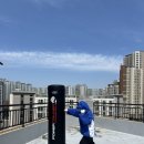 코브라 권투 체육관 | 복싱 홈트레이닝을 위한 샌드백과 B2F 글러브 구매 후기