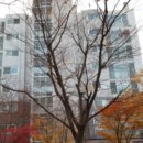 장지동주민센터.송파파인타운1단지 이미지