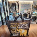 크리닝타운세탁소 이미지