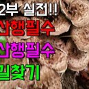 두리하우스 이미지