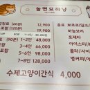 놀면묘하냥