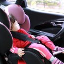 동아카시트 이미지