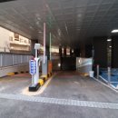 우분투포레스트 이미지