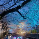 여좌천거리 이미지