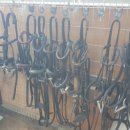 굴레목장 이미지