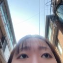 영주땡마트 | 진짜 진지하게 금융치료 받고싶다. 60억 줘