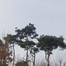 부흥양만