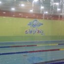 스위밍키즈 이미지