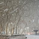 중곡종합건강센터 | 분당 건강검진센터 필립메디컬센터 종합 건강검진 후기