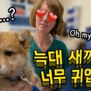 Be 동물병원 이미지