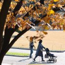 달성공원 이미지