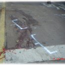 성남여자고등학교 이미지