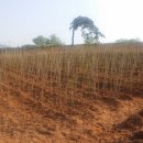 산들농장 이미지