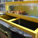 냉천칡냉면 이미지