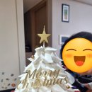 하하프 콘서트 이미지