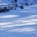 샘물하얀집 이미지