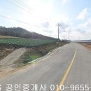 신안아파트 앞 상가 이미지