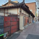 랜드로바사거리 | 애견 동반 영주 당일치기 여행 (무섬마을 365시장 랜떡 근대역사문화거리 태극당 정도너츠 인삼시장)