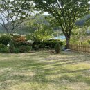 메종카누네 이미지