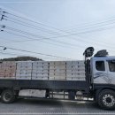 청결박스 이미지