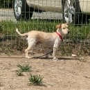 오늘도 즐겁개 이미지