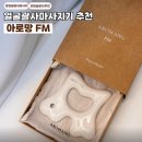 FM | 도자기 얼굴괄사마사지기추천 떼르디아로망 FM 사용후기