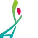 라이펙스 이미지