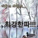 1월25일 목요일 오늘의 책속의 한마디 이미지