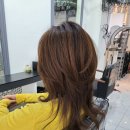 은블리헤어