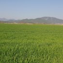 합천창녕보자전거민박 이미지