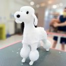 유지네 애견미용샵 이미지