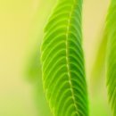 오리역 3번출구 이미지