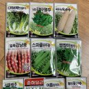 백광농장 | [3월4주] 텃밭일지 - 씨앗 구매