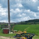 일로-3호 이미지