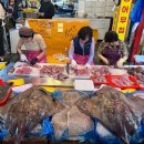 대인홍어 이미지