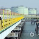 돋보기 과학관 여행 이미지