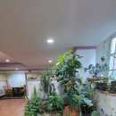 덕진동-10(실내체육관) 이미지