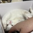 무양반려동물병원 이미지