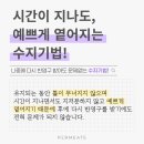 펄미에이트