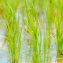 꿈의 한우농장 이미지