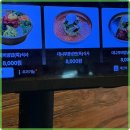 신마포갈매기 이미지