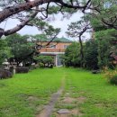 허왕후 오리명가 이미지