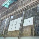 고양이미용 우다다냥 이미지