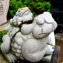 슬비식당 이미지