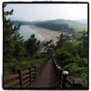 운무로 뒤틀려 버린 2박3일의 여정 (여수 묘도 봉화산 &amp; 고흥 마복산)