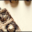 365정화약국 이미지