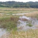 제일낚시터 이미지