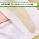토가전통장
